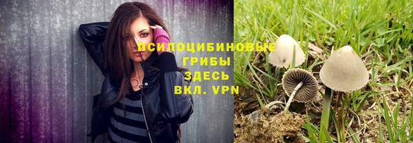 дживик Алексеевка