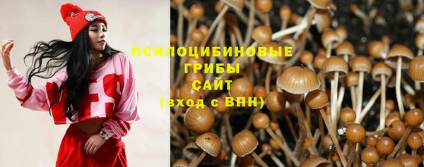 ПСИЛОЦИБИНОВЫЕ ГРИБЫ Алзамай
