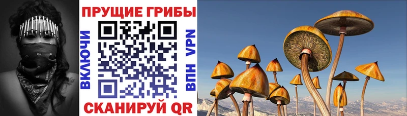 Галлюциногенные грибы Cubensis  darknet формула  Лагань 
